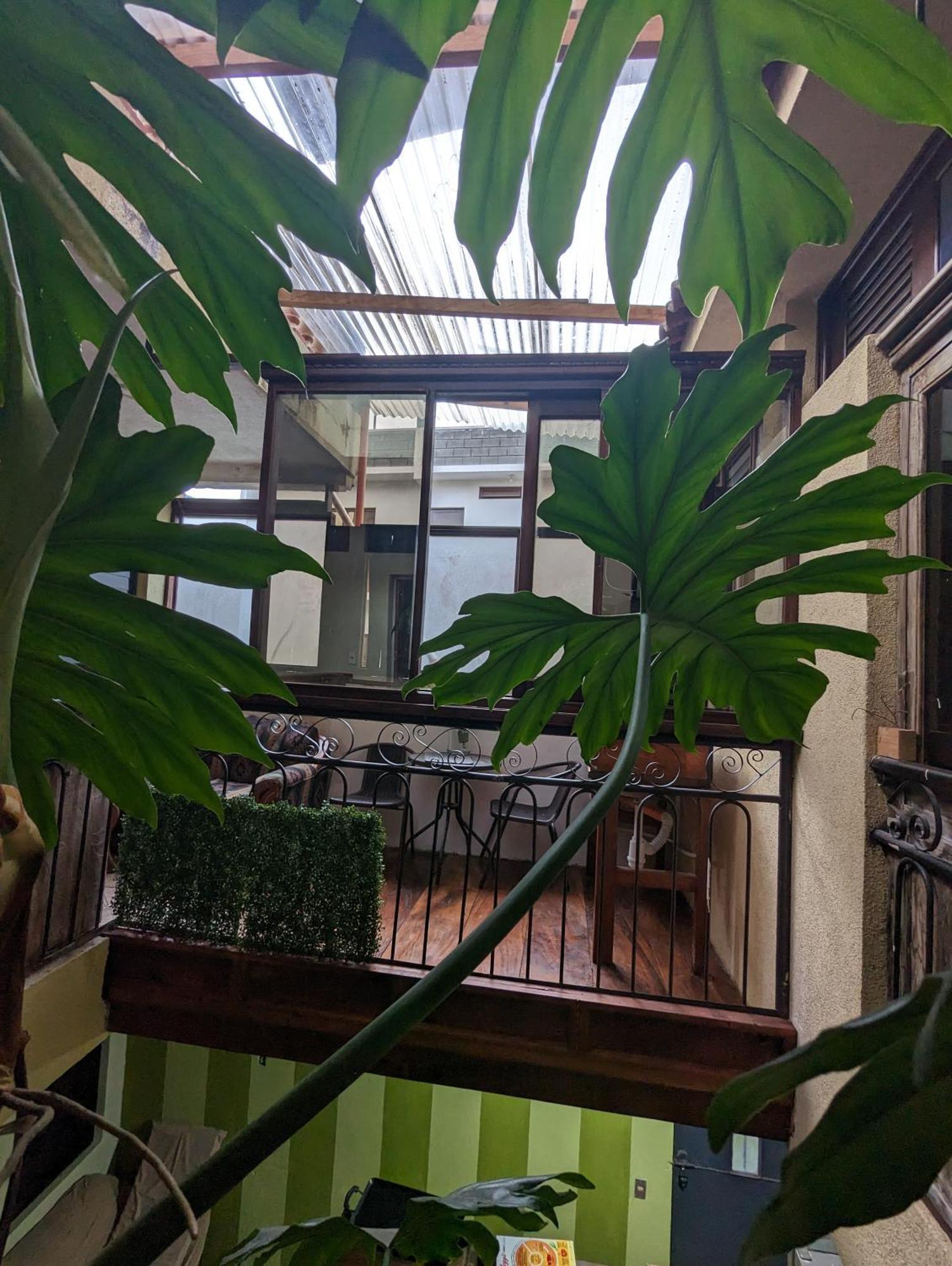 Апартаменты Casa Gonzalez Сантьяго-Атитлан Экстерьер фото